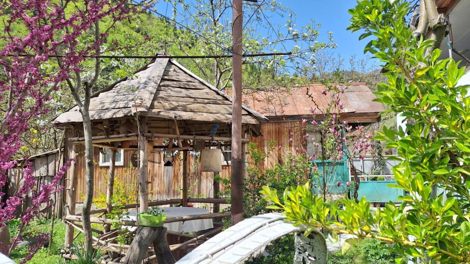 Guest House "Svaneti" Lentekhi Εξωτερικό φωτογραφία