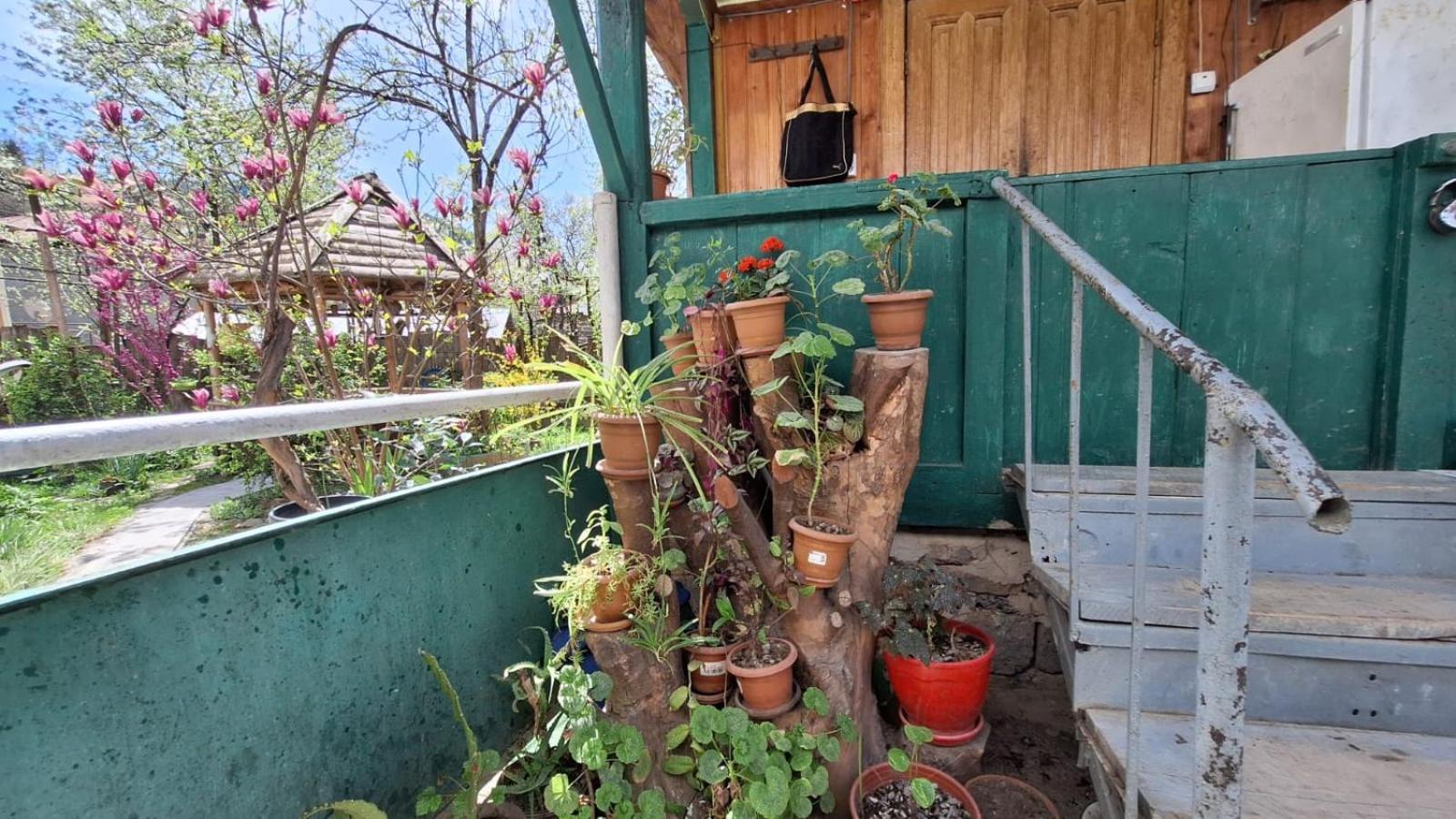 Guest House "Svaneti" Lentekhi Εξωτερικό φωτογραφία
