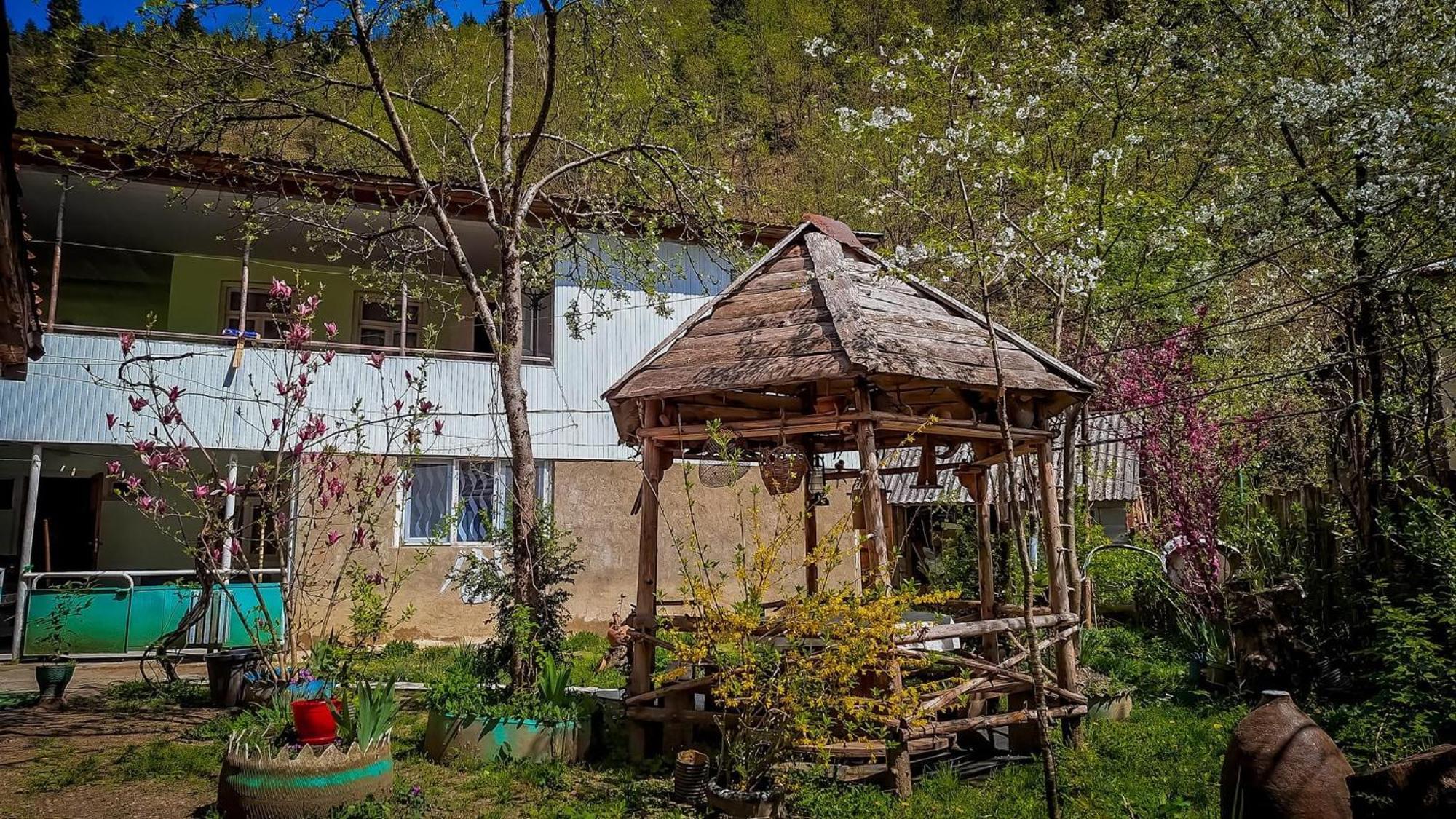 Guest House "Svaneti" Lentekhi Εξωτερικό φωτογραφία